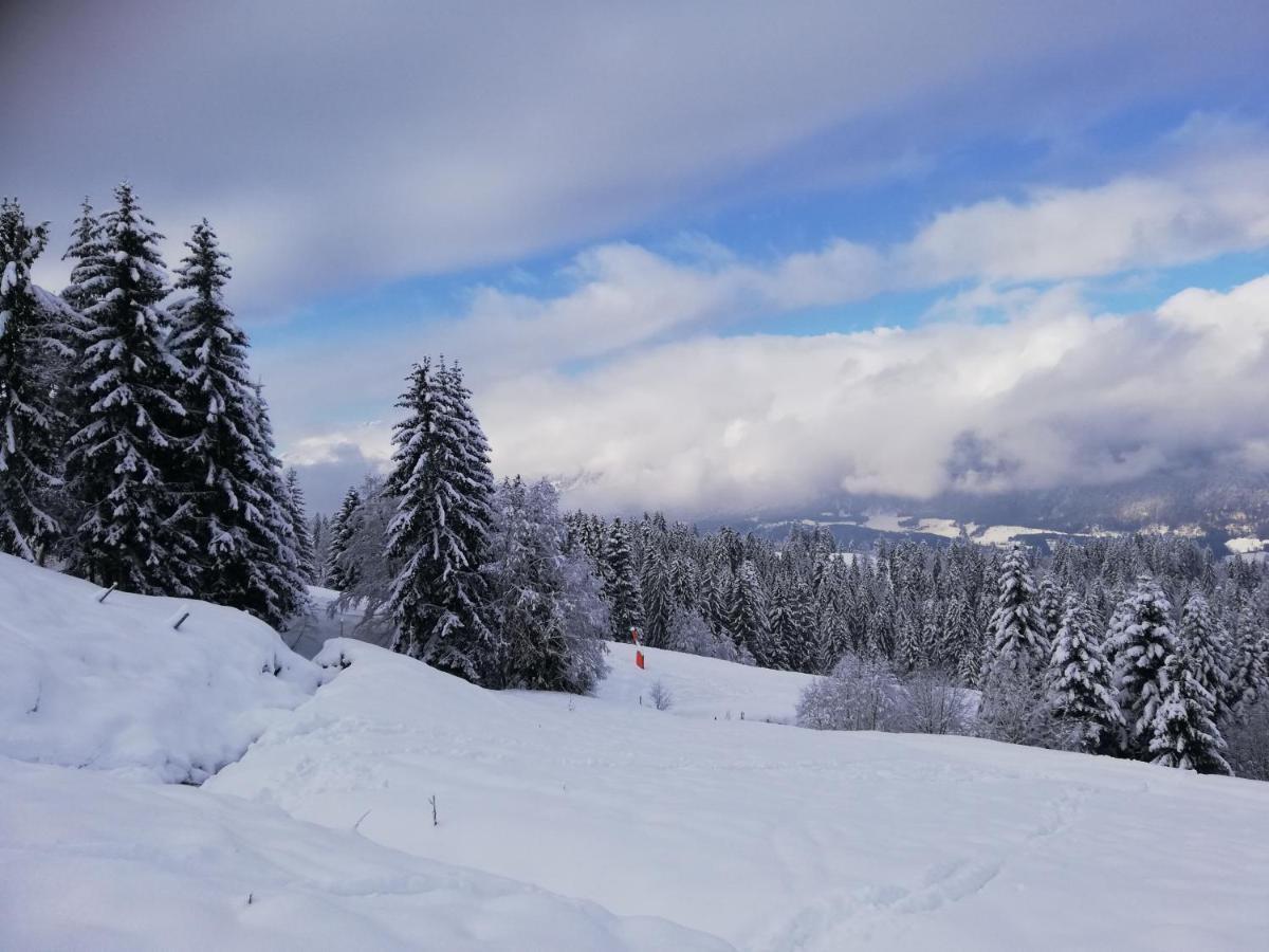 Ferienwohnung Mit Blick Auf Die Buchensteinwand Hochfilzen Bagian luar foto