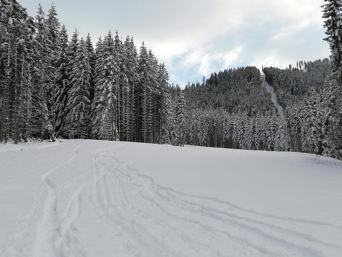 Ferienwohnung Mit Blick Auf Die Buchensteinwand Hochfilzen Bagian luar foto